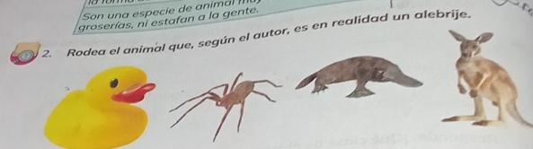 Son una especie de animal I 
groserías, ni estafan a la gente. 
2. Rodea el animal que, según el autor, es en realidad un alebrije.