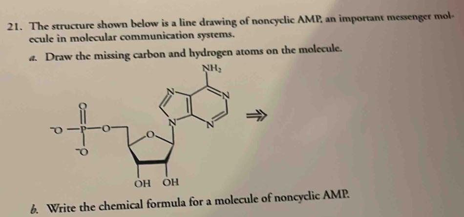 Solved: The structure shown below is a line drawing of noncyclic AMP ...