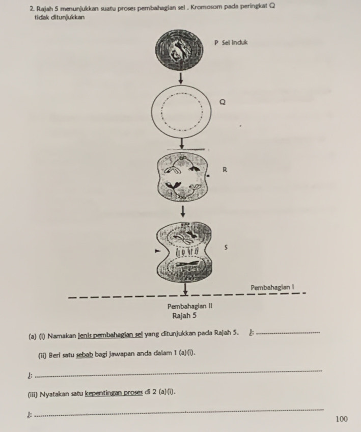 Rajah 5 menunjukkan suatu proses pembahagian sel . Kromosom pada peringkat Q
tidak ditunjukkan
P Sel induk
Q
R
1 s
Pembahagian I 
Pembahagian II 
Rajah 5 
(a) (i) Namakan jenis pembahagian se! yang ditunjukkan pada Rajah 5. ↓:_ 
(ii) Beri satu sebab bagi jawapan anda dalam 1 (a)(i). 
1: 
_ 
(iii) Nyatakan satu kepentingan proses di 2 (a)(i). 
J: 
_
100