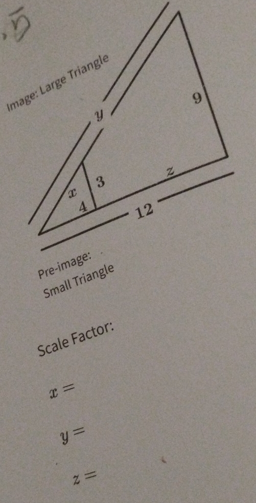 Scale Factor:
x=
y=
z=