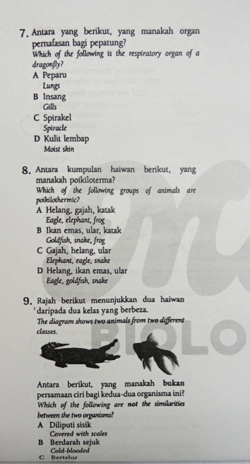 Antara yang berikut, yang manakah organ
perafasan bagi pepatung?
Which of the following is the respiratory organ of a
dragonfly?
A Peparu
Lungs
B Insang
Gills
C Spirakel
Spiracle
D Kulit lembap
Moist skin
8. Antara kumpulan haiwan berikut, yang
manakah poikiloterma?
Which of the following groups of animals are
poikilothermic?
A Helang, gajah, katak
Eagle, elephant, frog
B Ikan emas, ular, katak
Goldfish, snake, frog
C Gajah, helang, ular
Elephant, eagle, snake
D Helang, ikan emas, ular
Eagle, goldfish, snake
9. Rajah berikut menunjukkan dua haiwan
daripada dua kelas yang berbeza.
The diagram shows two animals from two different
classes.
Antara berikut, yang manakah bukan
persamaan ciri bagi kedua-dua organisma ini?
Which of the following are not the similarities
between the two organisms?
A Diliputi sisik
Covered with scales
B Berdarah sejuk
C Bertelur Cold-blooded