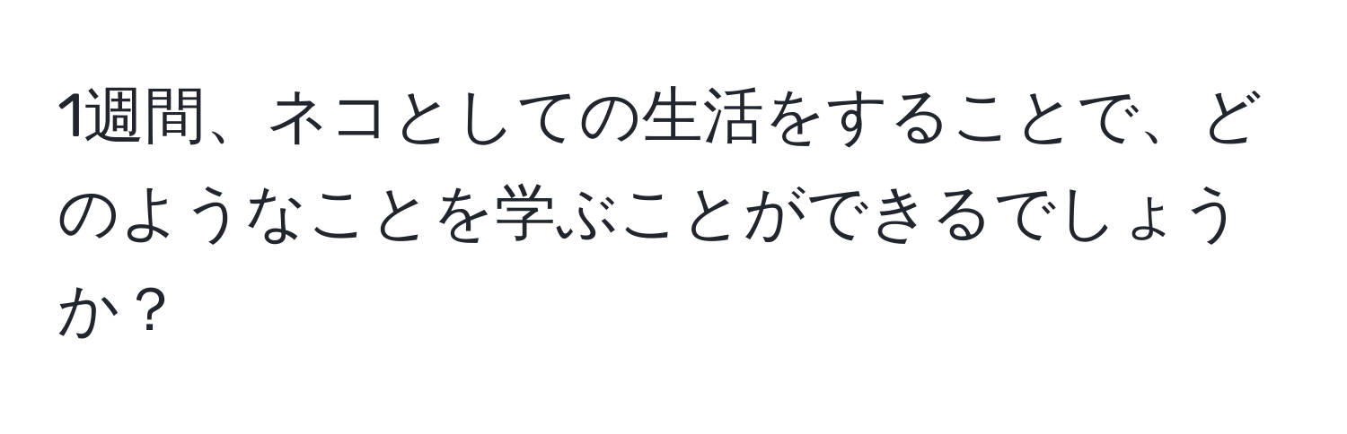 1週間、ネコとしての生活をすることで、どのようなことを学ぶことができるでしょうか？