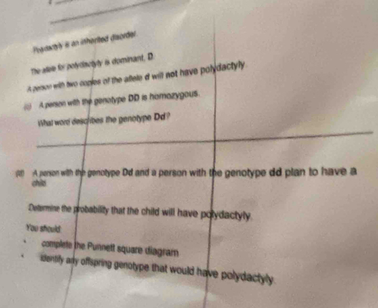 Pydartly i an inhorited disorder 
The atee for polydactyly is dominant, D 
s person with two coples of the altele d will not have polydactyly . 
(;) A person with the genotype DD is homazygous. 
_ 
What word describes the genotype Dd? 
(2) A person with the genotype Dd and a person with the genotype dd plan to have a 
chio 
Determine the probability that the child will have polydactyly 
You should 
complete the Punnett square diagram 
identify arly offspring genotype that would have polydactyly