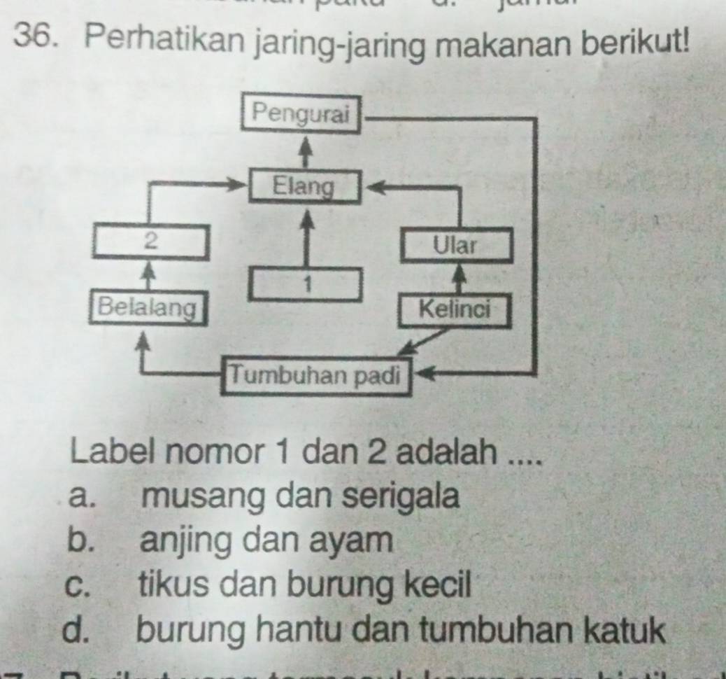 Perhatikan jaring-jaring makanan berikut!
Label nomor 1 dan 2 adalah ....
a. musang dan serigala
b. anjing dan ayam
c. tikus dan burung kecil
d. burung hantu dan tumbuhan katuk