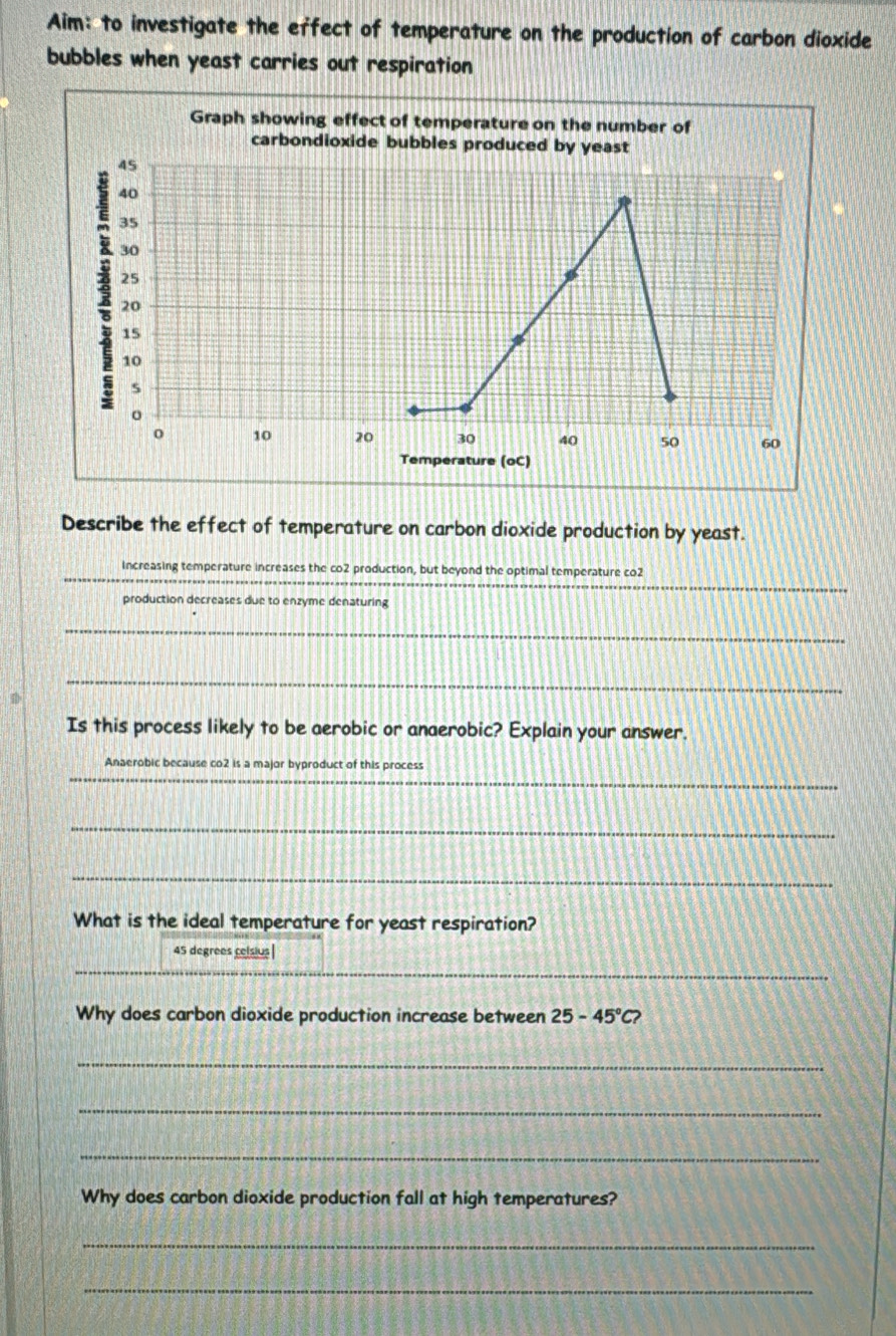 Aim: to investigate the effect of temperature on the production of carbon dioxide 
bubbles when yeast carries out respiration 
Graph showing effect of temperature on the number of 
carbondioxide bubbles produced by yeast
45
40
35
30
25
20
15
10
s 
。 
o 10 20 30 40 50 60
Temperature (oC) 
Describe the effect of temperature on carbon dioxide production by yeast. 
_ 
Increasing temperature increases the co2 production, but beyond the optimal temperature co2 
production decreases due to enzyme denaturing 
_ 
_ 
Is this process likely to be aerobic or anaerobic? Explain your answer. 
_ 
Anaerobic because co2 is a major byproduct of this process 
_ 
_ 
What is the ideal temperature for yeast respiration?
45 degrees celsius| 
_ 
__ 
Why does carbon dioxide production increase between 25-45°C? 
_ 
_ 
_ 
Why does carbon dioxide production fall at high temperatures? 
_ 
_