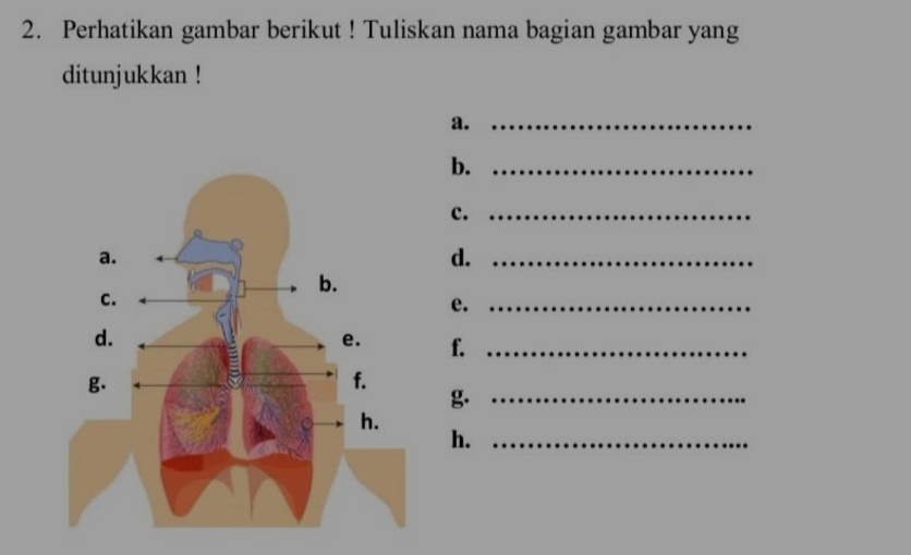 Perhatikan gambar berikut ! Tuliskan nama bagian gambar yang 
ditunjukkan ! 
a._ 
b._ 
c._ 
d._ 
e._ 
f._ 
g._ 
h._