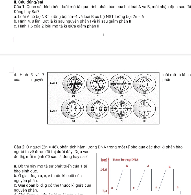 Câu đúng/sai
Câu 1: Quan sát hình bên dưới mô tả quá trình phân bào của hai loài A và B, mỗi nhận định sau đã
Đúng hay Sai?
a. Loài A có bộ NST lưỡng bội 2n=4 và loài B có bộ NST lưỡng bội 2n=6
b. Hình 4, 8 lần lượt là kì sau nguyên phân I và kì sau giảm phân II
c. Hình 1, 6 của 2 loài mô tả kì giữa giảm phân II
d. Hình 3 vàài mô tả kì sa
của nguyân
Câu 2: Ở người (2n=46) , phân tích hàm lượng DNA trong một tế bào qua các thời kì phân bào
người ta vẽ được đồ thị dưới đây. Dựa vào
đồ thị, mỗi mệnh đề sau là đúng hay sai? (pg) Hàm lượng DNA
a. Đồ thi này mô tả sư phát triển của 1 tế b d g
bào sinh dục. 14, 6
b. Ở giai đoạn a, c, e thuộc kì cuối của
nguyên phân.
c. Giai đoạn b, d, g có thể thuộc kì giữa của a c e h
nguyên phân. 7, 3