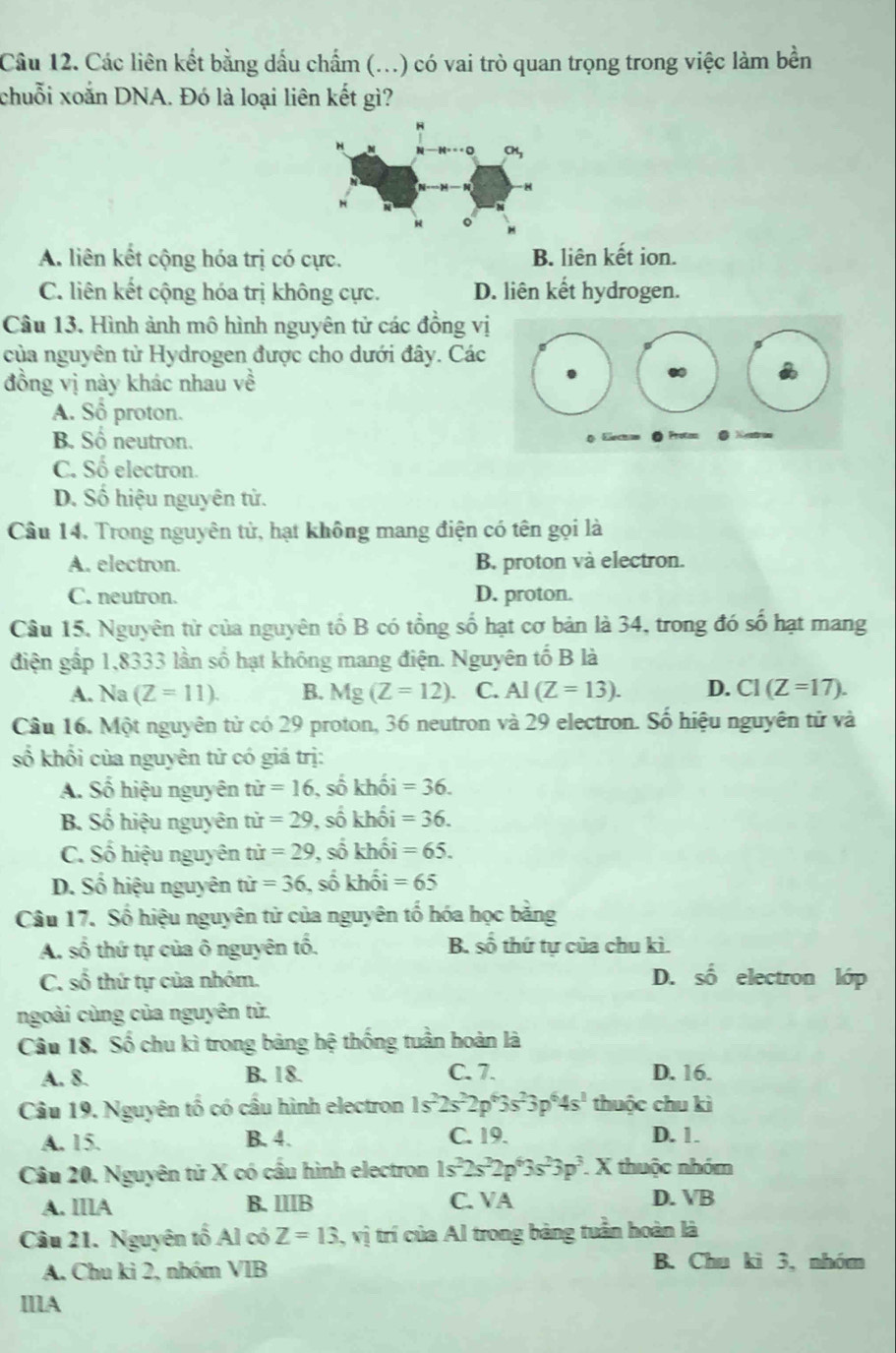 Các liên kết bằng dấu chẩm (...) có vai trò quan trọng trong việc làm bền
chuỗi xoắn DNA. Đó là loại liên kết gì?
A. liên kết cộng hóa trị có cực. B. liên kết ion.
C. liên kết cộng hóa trị không cực. D. liên kết hydrogen.
Câu 13. Hình ảnh mô hình nguyên tử các đồng vị
của nguyên tử Hydrogen được cho dưới đây. Các
đồng vị này khác nhau về
A. Sổ proton.
B Số neutron.
C. Số electron.
D. Số hiệu nguyên tử.
Cầu 14. Trong nguyên tử, hạt không mang điện có tên gọi là
A. electron. B. proton và electron.
C. neutron. D. proton.
Câu 15, Nguyên từ của nguyên tổ B có tổng số hạt cơ bản là 34, trong đó số hạt mang
điện gấp 1,8333 lần số hạt không mang điện. Nguyên tố B là
A. Na (Z=11). B. Mg(Z=12). C. AI(Z=13). D. C1(Z=17).
Câu 16. Một nguyên tử có 29 proton, 36 neutron và 29 electron. Số hiệu nguyên tử và
số khổi của nguyên tử có giá trị:
A. Số hiệu nguyên tir=16 , số khối =36.
B. Số hiệu nguyên tí r=29 , số khối =36.
C. Số hiệu nguyên tir=29 , số khối =65.
D. Số hiệu nguyên tử =36 , số khối =65
Câu 17. Số hiệu nguyên từ của nguyên tổ hóa học bằng
A. số thứ tự của ô nguyên tổ. B. số thứ tự của chu kì.
C. số thứ tự của nhóm. D. số electron lớp
ngoài cùng của nguyên tử.
Câu 18. Số chu kì trong bảng hệ thống tuần hoàn là
A. 8. B. 18. C. 7. D. 16.
Câu 19. Nguyên tố có cầu hình electron 1s^22s^22p^63s^23p^64s^1 thuộc chu kì
A. 15. B. 4. C. 19. D. 1.
Câu 20. Nguyên tử X có cầu hình electron 1s^22s^22p^63s^23p^3. X thuộc nhóm
A. IIIA B. IIB C. VA D. VB
Câu 21. Nguyên tố Al có Z=13 , vị trí của Al trong bảng tuần hoàn là
A. Chu ki 2, nhóm VIB B. Chu kì 3, nhóm
IIlA