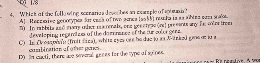 D 1/8
4. Which of the following scenarios describes an example of epistasis?
A) Recessive genotypes for each of two genes (aabb) results in an albino corn snake.
B) In rabbits and many other mammals, one genotype (ee) prevents any fur color from
developing regardless of the dominance of the fur color gene.
C) In Drosophila (fruit flies), white eyes can be due to an X -linked gene or to a
combination of other genes.
D) In cacti, there are several genes for the type of spines.
an c e over Rh negative. A wor