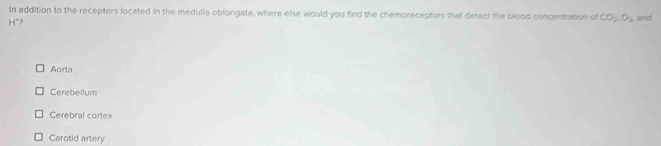 In addition to the receptors located in the medulla oblongata, where else would you find the chemoreceptors that detect the blood concantration of CO_2, O_2 and
H° 7
Aorta
Cerebellum
Cerebral cortex
Carotid artery