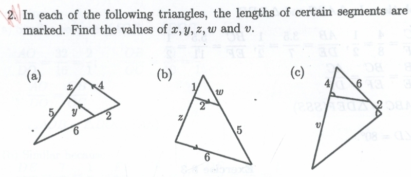 In each of the following triangles, the lengths of certain segments are 
marked. Find the values of x, y, z, w and v. 
(b)(c)