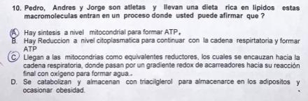 Pedro, Andres y Jorge son atletas y llevan una dieta rica en lipidos estas
macromoleculas entran en un proceso donde usted puede afirmar que ?
A Hay sintesis a nivel mitocondrial para formar ATP。
Hay Reduccion a nivel citoplasmatica para continuar con la cadena respirtatoria y formar
ATP
C Llegan a las mitocondrias como equivalentes reductores, los cuales se encauzan hacia la
cadena respiratoria, donde pasan por un gradiente redox de acarreadores hacia su reacción
final con oxigeno para formar agua .
D. Se catabolizan y almacenan con triacilglerol para almacenarce en los adipositos y
ocasionar obesidad.