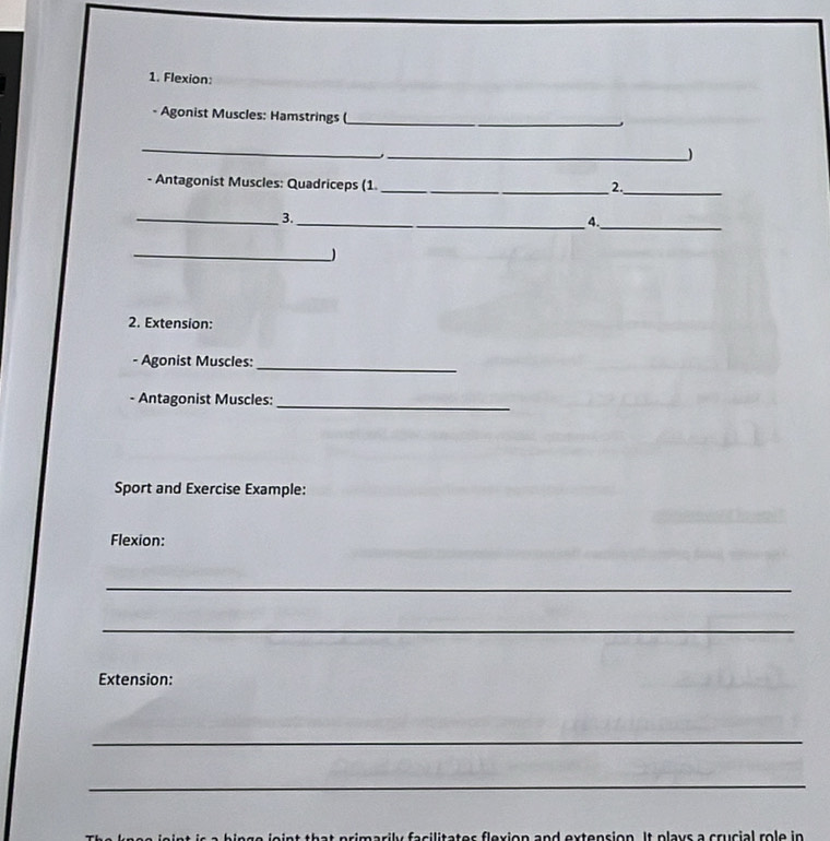 Flexion: 
Agonist Muscles: Hamstrings ( 
_ 
、 
_ 
_) 
Antagonist Muscles: Quadriceps (1 _2._ 
_3._ 
4._ 
_ 
2. Extension: 
- Agonist Muscles:_ 
- Antagonist Muscles:_ 
Sport and Exercise Example: 
Flexion: 
_ 
_ 
Extension: 
_ 
_