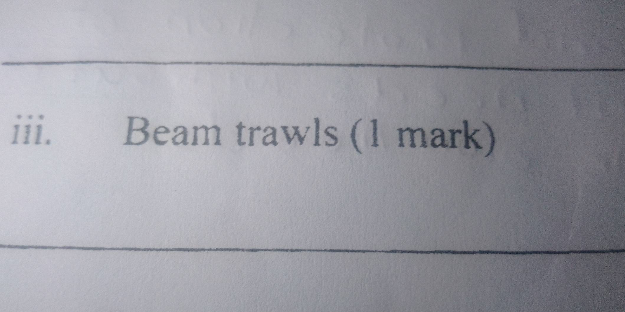 Beam trawls (1 mark)