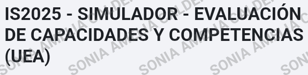 IS2025 - SIMULADOR - EVALUACIÓN 
DE CAPACIDADES Y COMPETENCIAS 
(UEA)