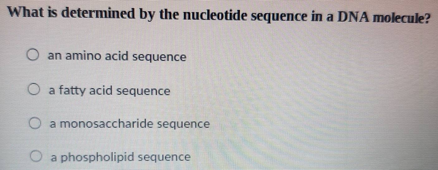 What is determined by the nucleotide sequence in a DNA molecule?
an amino acid sequence
a fatty acid sequence
a monosaccharide sequence
a phospholipid sequence