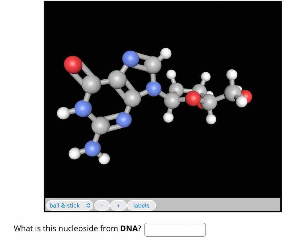 What is this nucleoside from DNA?