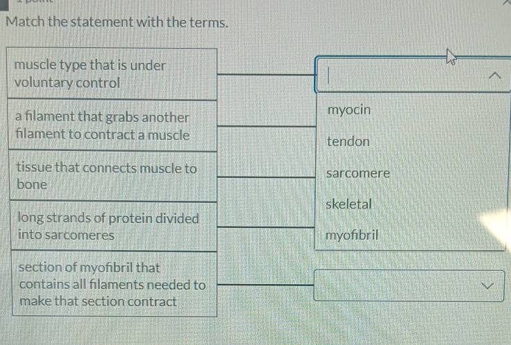 Match the statement with the terms. 
v 
a