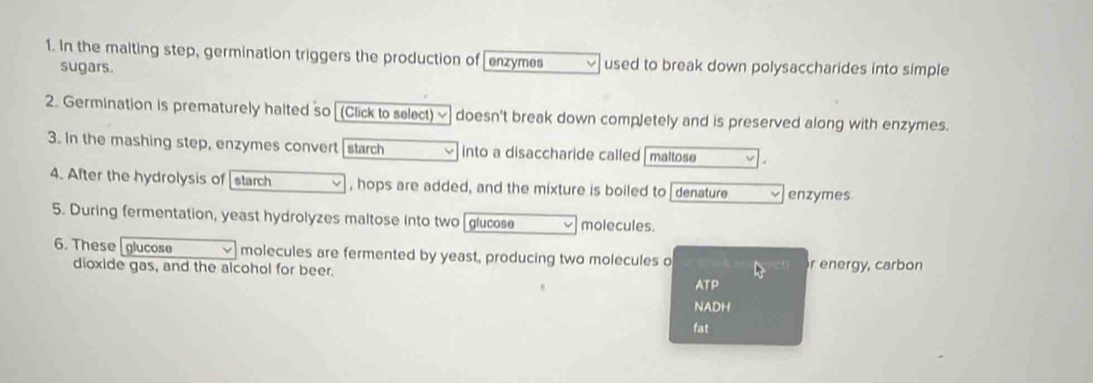 In the maiting step, germination triggers the production of[enzymes used to break down polysaccharides into simple 
sugars. 
2. Germination is prematurely halted so [(Click to select)~] doesn't break down completely and is preserved along with enzymes. 
3. In the mashing step, enzymes convert starch into a disaccharide called | maltose 
4. After the hydrolysis of starch , hops are added, and the mixture is boiled to denature enzymes. 
5. During fermentation, yeast hydrolyzes maltose into two[glucose molecules. 
6. These [ glucose molecules are fermented by yeast, producing two molecules o 
dioxide gas, and the alcohol for beer. r energy, carbon 
ATP 
NADH 
fat