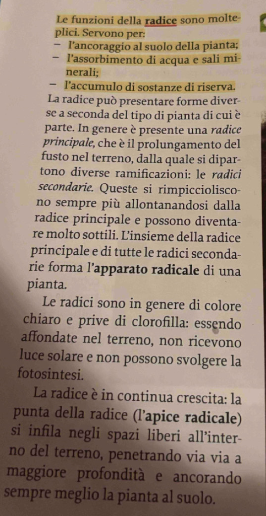 Le funzioni della radice sono molte- 
plici. Servono per: 
− l’ancoraggio al suolo della pianta; 
- l’assorbimento di acqua e sali mi- 
nerali; 
− l’accumulo di sostanze di riserva. 
La radice può presentare forme diver- 
se a seconda del tipo di pianta di cui è 
parte. In genere è presente una radice 
principale, che è il prolungamento del 
fusto nel terreno, dalla quale si dipar- 
tono diverse ramificazioni: le radici 
secondarie. Queste si rimpicciolisco- 
no sempre più allontanandosi dalla 
radice principale e possono diventa- 
re molto sottili. L’insieme della radice 
principale e di tutte le radici seconda- 
rie forma l’apparato radicale di una 
pianta. 
Le radici sono in genere di colore 
chiaro e prive di clorofilla: essendo 
affondate nel terreno, non ricevono 
luce solare e non possono svolgere la 
fotosintesi. 
La radice è in continua crescita: la 
punta della radice (l’apice radicale) 
si infila negli spazi liberi all’inter- 
no del terreno, penetrando via via a 
maggiore profondità e ancorando 
sempre meglio la pianta al suolo.