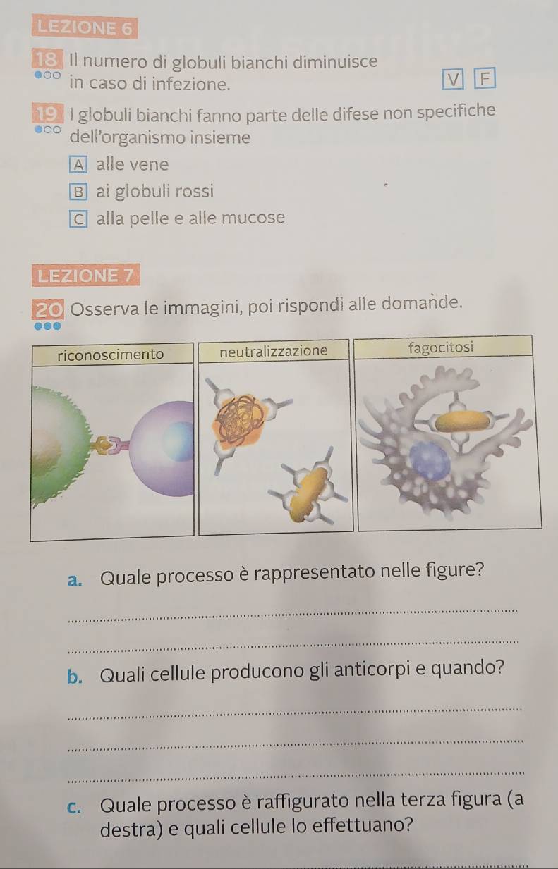 LEZIONE 6
18 Il numero di globuli bianchi diminuisce
●○○ in caso di infezione.
V F
191 I globuli bianchi fanno parte delle difese non specifiche
●○○ dell’organismo insieme
A alle vene
B ai globuli rossi
C alla pelle e alle mucose
LEZIONE 7
20 Osserva le immagini, poi rispondi alle domande.
neutralizzazione fagocitosi
a. Quale processo è rappresentato nelle figure?
_
_
b. Quali cellule producono gli anticorpi e quando?
_
_
_
c. Quale processo è raffigurato nella terza figura (a
destra) e quali cellule lo effettuano?