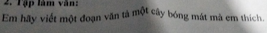 Tập làm văn: 
Em hãy viết một đoạn văn tả một cây bóng mát mà em thích,