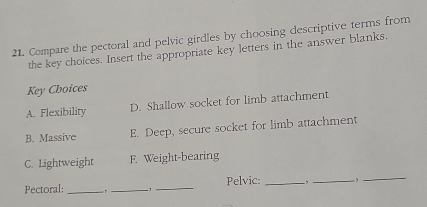 Compare the pectoral and pelvic girdles by choosing descriptive terms from
the key choices. Insert the appropriate key letters in the answer blanks.
Key Choices
A. Flexibility D. Shallow socket for limb attachment
B. Massive E. Deep, secure socket for limb attachment
C. Lightweight F. Weight-bearing
Pectoral: _. _-1_ Pelvic: __._