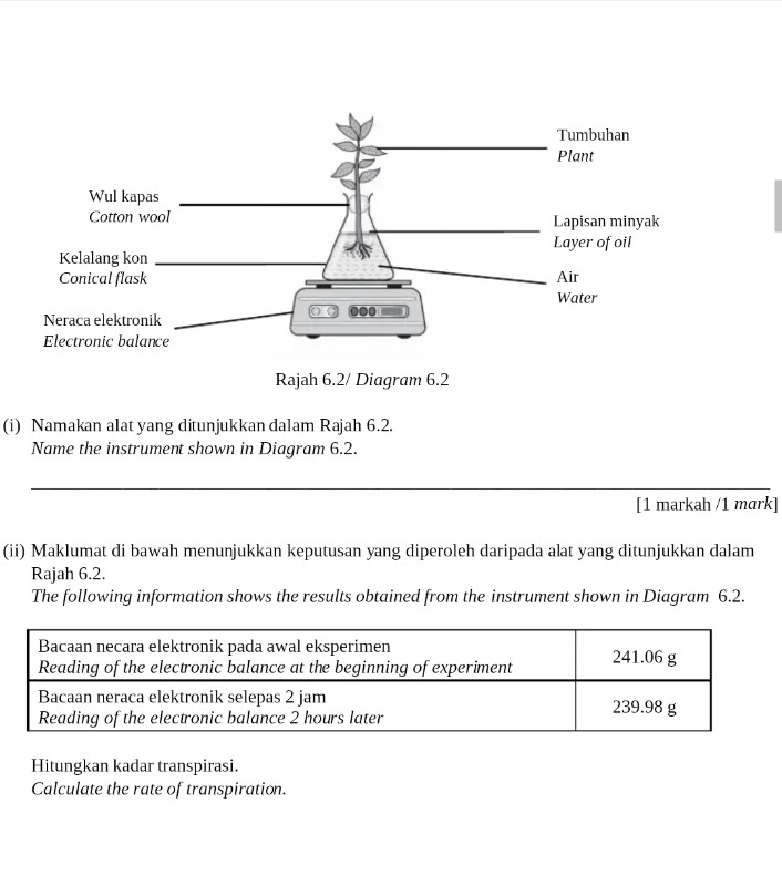 Namakan alat yang ditunjukkan dalam Rajah 6.2. 
Name the instrument shown in Diagram 6.2. 
_ 
_ 
_ 
[1 markah /1 mark] 
(ii) Maklumat di bawah menunjukkan keputusan yang diperoleh daripada alat yang ditunjukkan dalam 
Rajah 6.2. 
The following information shows the results obtained from the instrument shown in Diagram 6.2. 
Hitungkan kadar transpirasi. 
Calculate the rate of transpiration.