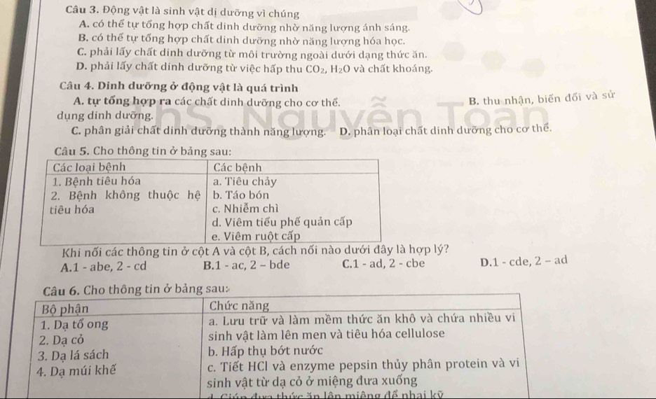 Động vật là sinh vật dị dưỡng vì chúng
A. có thể tự tổng hợp chất dinh dưỡng nhờ năng lượng ánh sáng.
B. có thể tự tổng hợp chất dinh dưỡng nhờ năng lượng hóa học.
C. phải lấy chất dinh dưỡng từ môi trường ngoài dưới dạng thức ăn.
D. phải lấy chất dính dưỡng từ việc hấp thu CO_2, H_2O và chất khoáng.
Câu 4. Dinh dưỡng ở động vật là quá trình
A. tự tổng hợp ra các chất dinh dưỡng cho cơ thể.
B. thu nhận, biến đối và sử
dụng dinh dưỡng.
C. phân giải chất dinh dưỡng thành năng lượng. D. phân loại chất dinh dưỡng cho cơ thể.
Câu 5. Cho thông tin ở bảng sau:
Khi nối các thông tin ở cột A và cột B, cách nối nào dưới đây là hợp lý?
A. 1 - abe, 2 - cd B. 1 - ac, 2 - bde C. 1 - ad, 2 - cbe D. 1 - cde, 2 - ad
N ên m iê ng đ ể nhai k ỹ