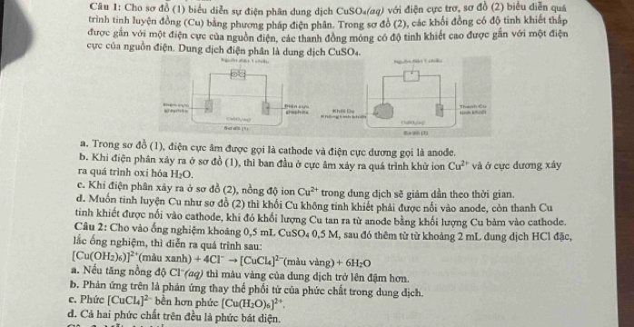 Cho sơ đồ (1) biểu diễn sự điện phân dung dịch CuSO₄(aq) với điện cực trơ, sơ đồ (2) biểu diễn quý
trình tinh luyện đồng (Cu) bằng phương pháp điện phân. Trong sơ đồ (2), các khối đồng có độ tinh khiết thấp
được gắn với một điện cực của nguồn điện, các thanh đồng mông có độ tinh khiết cao được gần với một điện
cực của nguồn điện. Dung dịch điện phân là dung dịch CuSO4.
Nguồn diễn 1 chiu
Khếi Dụ Line khr Thanh Cu
C00_(4) Seifio (J)
a. Trong sơ đồ (1), điện cực âm được gọi là cathode và điện cực dương gọi là anode.
b. Khi điện phân xảy ra ở sơ đồ (1), thì ban đầu ở cực âm xảy ra quá trình khữ ion Cu^(2+)
ra quá trình oxi hóa H_2O. và ở cực dương xảy
c. Khi điện phân xây ra ở sơ đồ (2), nồng độ ion Cu^(2+) trong dung địch sẽ giảm dần theo thời gian.
d. Muốn tinh luyện Cu như sợ đồ (2) thì khổi Cu không tinh khiết phải được nổi vào anode, còn thanh Cu
tinh khiết được nổi vào cathode, khi đó khổi lượng Cu tan ra từ anode bằng khối lượng Cu bảm vào cathode.
Câu 2: Cho vào ống nghiệm khoảng 0,5 mL CuSO_40,5M I, sau đó thêm từ từ khoảng 2 mL dung dịch HCl đặc,
lắc ống nghiệm, thì diễn ra quá trình sau:
[Cu(OH_2)_6)]^2+ (màu xanh) +4Cl^-to [CuCl_4]^2- '(màu vàng'' +6H_2O
a. Nếu tăng nồng độ Cl '(aq) thì màu vàng của dung dịch trở lên đậm hơn.
b. Phản ứng trên là phản ứng thay thế phối từ của phức chất trong dung dịch.
c. Phức [CuCl_4]^2- bền hơn phức [Cu(H_2O)_6]^2+.
d. Cả hai phức chất trên đều là phức bát diện.