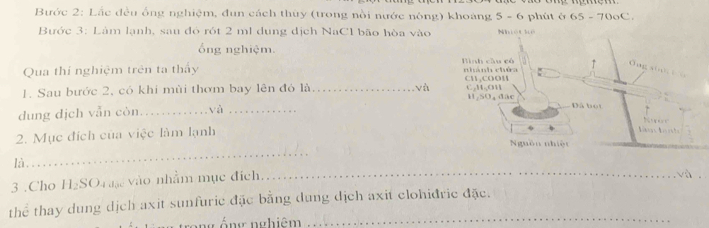 Bước 2: Lắc đều ống nghiệm, đun cách thủy (trong nổi nước nóng) khoảng 5 - 6 phút ở 65 -7( oC. 
Bước 3: Làm lạnh, sau đó rót 2 ml dung dịch NaC1 bão hòa vào 
ống nghiệm. 
Qua thí nghiệm trên ta thấy 
1. Sau bước 2, có khi mùi thơm bay lên đó là _và 
dung dịch vẫn còn_ yà_ 
2. Mục đích của việc làm lạnh 
_ 
là. 
_ 
3 .Cho H_2SO Đà đặo vào nhằm mục đích. 
_ 
thể thay dung dịch axit sunfuric đặc bằng dung dịch axit clohiđric đặc. 
nng ếng nghiêm