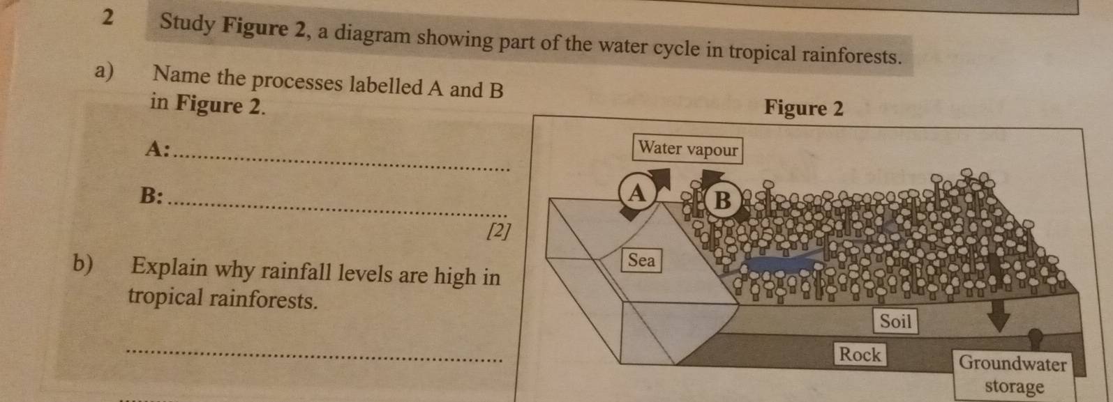 Study Figure 2, a diagram showing part of the water cycle in tropical rainforests. 
a) Name the processes labelled A and B 
in Figure 2. 
A: _ 
B:_ 
[2] 
b) Explain why rainfall levels are high in 
tropical rainforests. 
_ 
storage