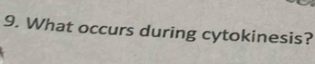 What occurs during cytokinesis?