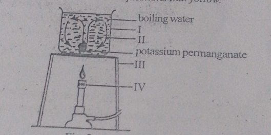 boiling water 
I 
II 
potassium permanganate 
·III 
IV