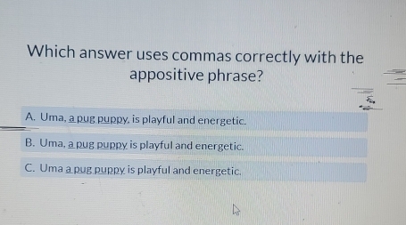 Which answer uses commas correctly with the
appositive phrase?
_A. Uma, a pug puppy, is playful and energetic.
B. Uma, a pug puppy is playful and energetic.
C. Uma a pug puppy is playful and energetic.