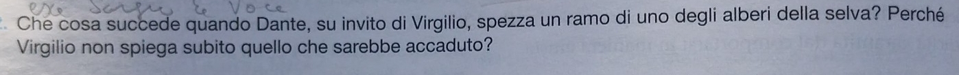 Che cosa succede quando Dante, su invito di Virgilio, spezza un ramo di uno degli alberi della selva? Perché 
Virgilio non spiega subito quello che sarebbe accaduto?