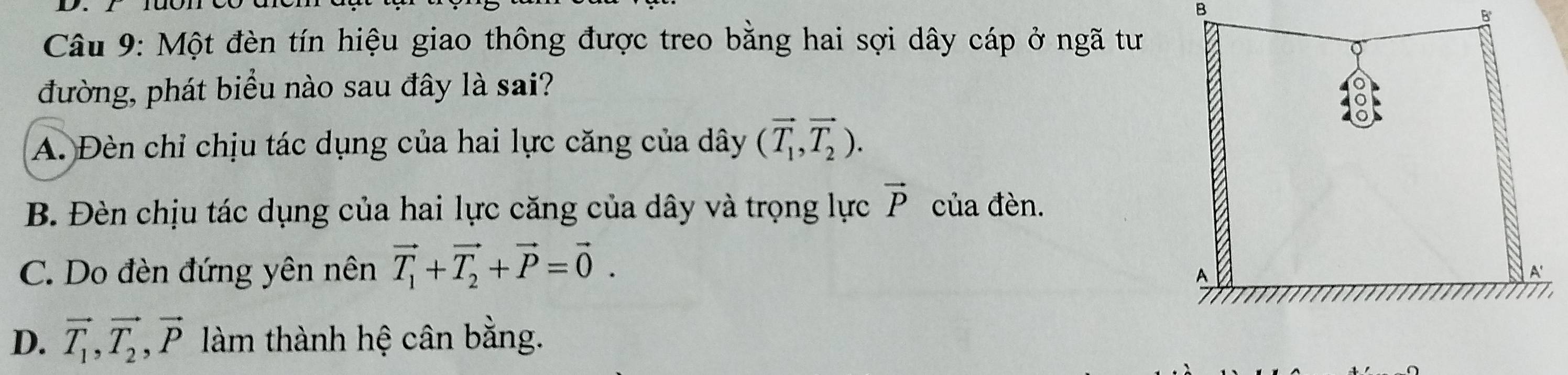 Một đèn tín hiệu giao thông được treo bằng hai sợi dây cáp ở ngã tư
đường, phát biểu nào sau đây là sai?
A. Đèn chỉ chịu tác dụng của hai lực căng của dây (vector T_1,vector T_2).
B. Đèn chịu tác dụng của hai lực căng của dây và trọng lực vector P của đèn.
C. Do đèn đứng yên nên vector T_1+vector T_2+vector P=vector 0.
D. vector T_1, vector T_2, vector P làm thành hệ cân bằng.