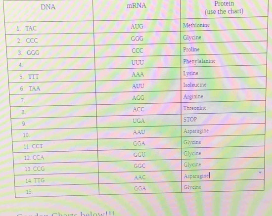 DNA mRNA Protein 
e low! ' '