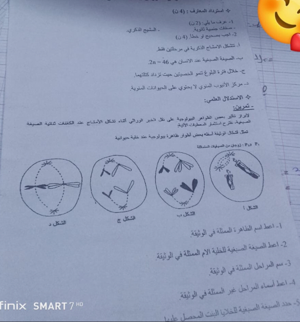 (0 4) : Lê jinell ala jal 
(02):→≠ -1 
(0 4) . Ubáy|ganay ya -2
2n=46 ga Gui sie épiguall diguall cp 
.Lagülis 11s jū Lagon Cofignenial gais É glall 5jio Dhón -E 
gia G gad ce L ginl y e gal cgeje ga a 。 
:Grabal Jay 
tù yū n 
J 
= 
- JS 1 san 
g algé álcal é ja ball puldos t - l 
ágioll gé áieell pYI áglál áruall ármall Jo1 -2
Tgl| gà nal Joljal| pur -3
All gò Aina yê jat jall cha doct -4 
finix SMART / HD 
le Jas all Cúll ( á tgiguall dguall wa 5