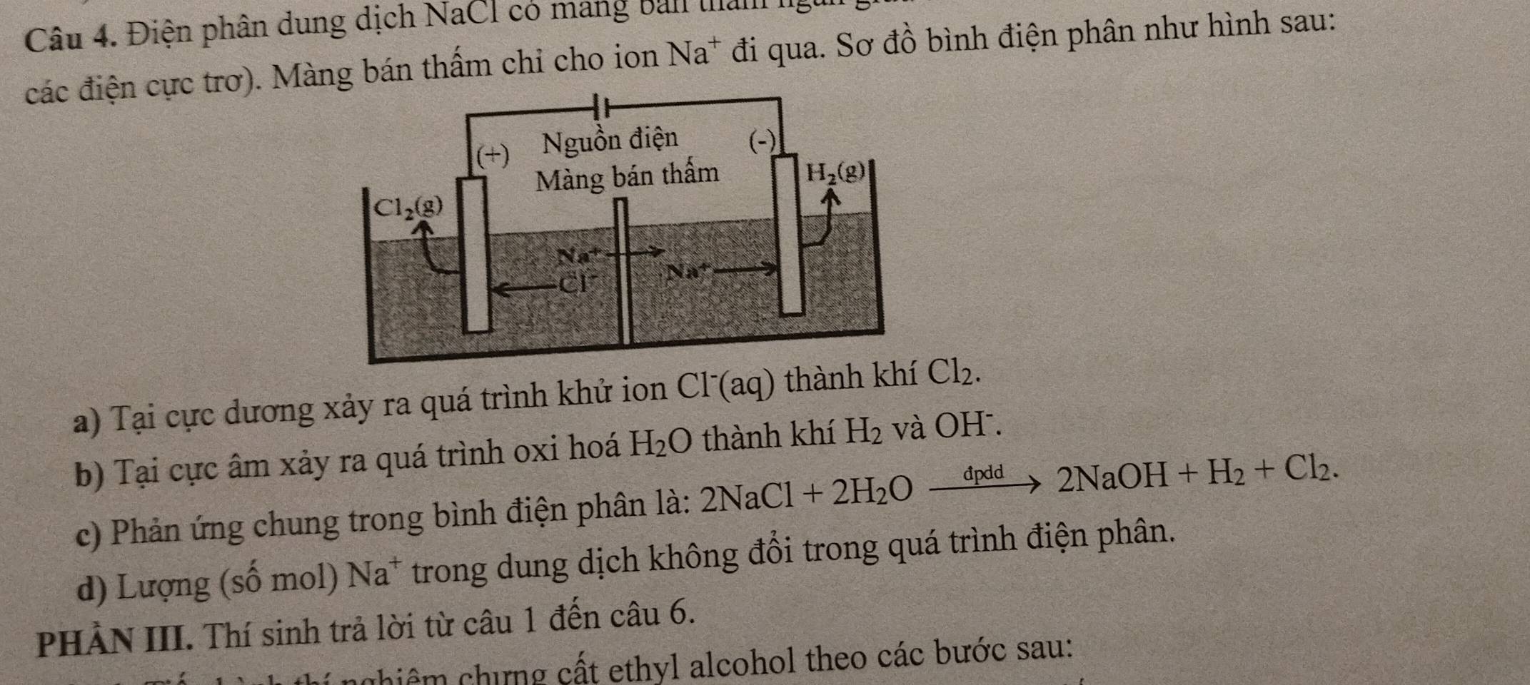 Điện phân dung dịch NaCl có mang bản tha
các điện cực trơ). Màng bán thấm chỉ cho ion Na^+ đi qua. Sơ đồ bình điện phân như hình sau:
a) Tại cực dương xảy ra quá trình khử ion Cl (aq) thành khí Cl_2.
b) Tại cực âm xảy ra quá trình oxi hoá H_2O thành khí H_2 và OH .
c) Phản ứng chung trong bình điện phân là: 2NaCl+2H_2Oxrightarrow dpdd2NaOH+H_2+Cl_2.
d) Lượng (Swidehat O mol) Na^+ trong dung dịch không đổi trong quá trình điện phân.
PHẢN III. Thí sinh trả lời từ câu 1 đến câu 6.
chiệm chưng cất ethyl alcohol theo các bước sau: