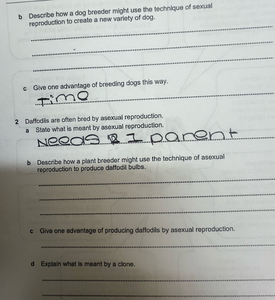 Describe how a dog breeder might use the technique of sexual 
_ 
reproduction to create a new variety of dog. 
_ 
_ 
_ 
c Give one advantage of breeding dogs this way.
2 Daffodils are often bred by asexual reproduction. 
a State what is meant by asexual reproduction. 
_ 
_ 
_ 
b Describe how a plant breeder might use the technique of asexual 
reproduction to produce daffodil bulbs. 
_ 
_ 
_ 
c Give one advantage of producing daffodils by asexual reproduction. 
_ 
d Explain what is meant by a clone. 
_ 
_
