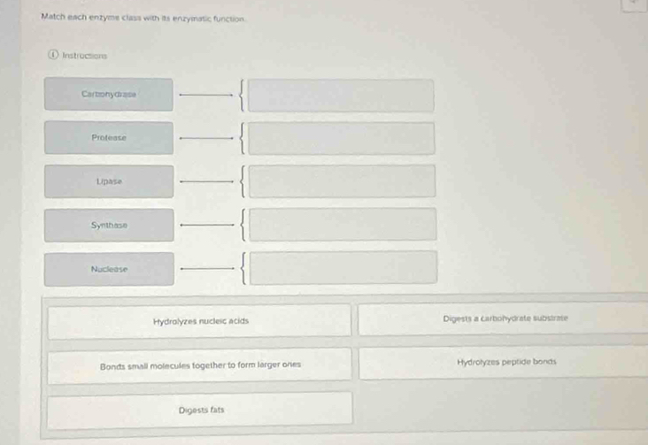 Match each enzyme class with its enzymatic function
Instructions
Cartionydrase
_
Protease
_
Lipase
_
Synthase
_
Nuclease
_
Hydrolyzes nucleic acids Digests a carbohydrate substrate
Bonds small molecules together to form larger ones Hydrołyzes peptide bonds
Digests fats