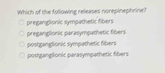 Which of the following releases norepinephrine?
preganglionic sympathetic fibers
preganglionic parasympathetic fibers
postganglionic sympathetic fibers
postganglionic parasympathetic fibers