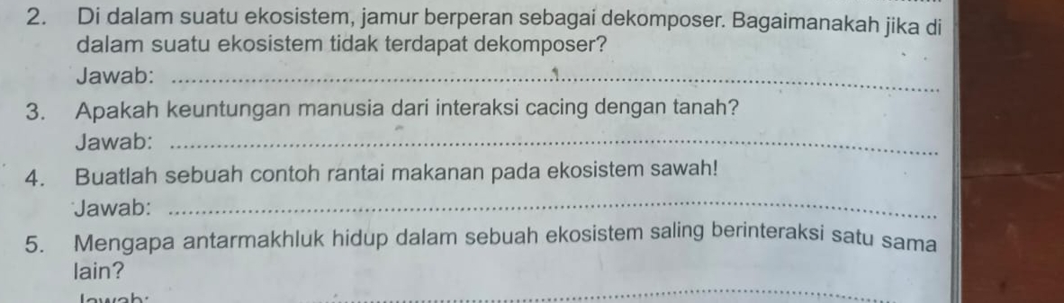 Di dalam suatu ekosistem, jamur berperan sebagai dekomposer. Bagaimanakah jika di 
dalam suatu ekosistem tidak terdapat dekomposer? 
Jawab:_ 
3. Apakah keuntungan manusia dari interaksi cacing dengan tanah? 
Jawab:_ 
4. Buatlah sebuah contoh rantai makanan pada ekosistem sawah! 
Jawab: 
_ 
5. Mengapa antarmakhluk hidup dalam sebuah ekosistem saling berinteraksi satu sama 
_ 
lain?