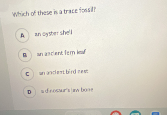 Which of these is a trace fossil?
A an oyster shell
B an ancient fern leaf
C an ancient bird nest
D a dinosaur’s jaw bone