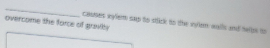 Solved: overcome the force of gravity causes xylerm sap to stick to the ...