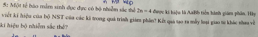 5: Một tế bào mầm sinh dục đực có bộ nhiễm sắc thể 2n=4 được kí hiệu là AaBb tiến hành giảm phân. Hãy 
viết kí hiệu của bộ NST của các kì trong quá trình giảm phân? Kết quả tạo ra mấy loại giao tử khác nhau về 
kí hiệu bộ nhiễm sắc thể?