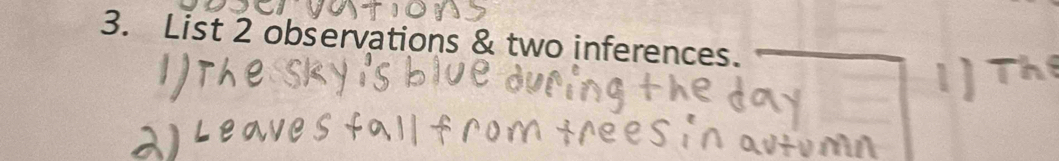 List 2 observations & two inferences.