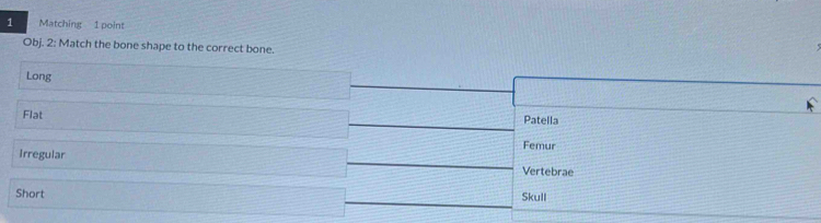 Matching 1 point
Obj. 2: Match the bone shape to the correct bone.
Long
Flat Patella
Irregular Femur
Vertebrae
Short Skull