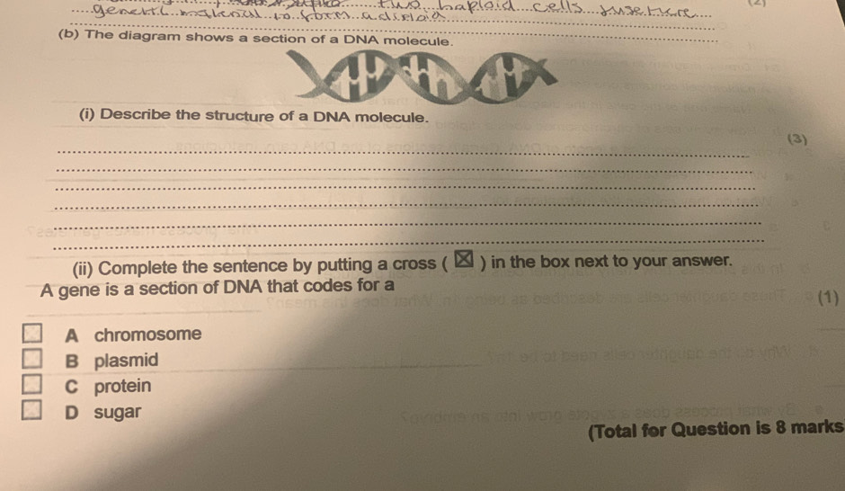 Solved: (4 _ _ (b) The diagram shows a section of a DNA molecule. (i ...